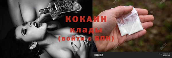 скорость Ельня