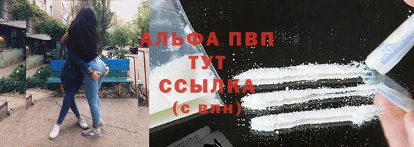 скорость Ельня