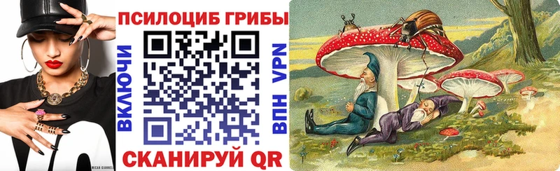 Купить закладки Омск Псилоцибиновые грибы прущие грибы